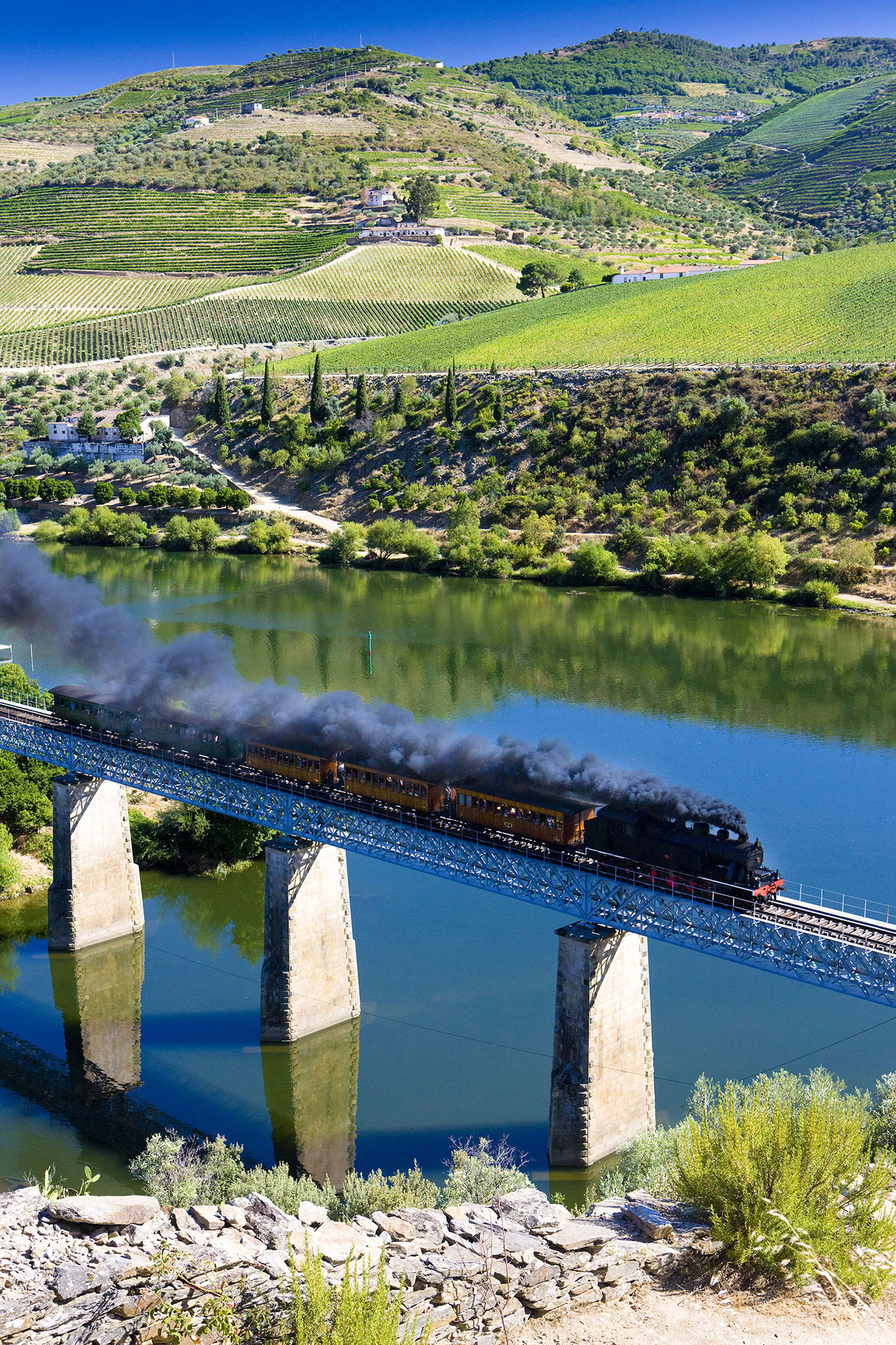 Comboio Histórico no Douro